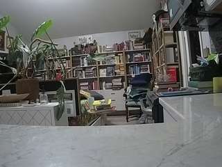 voyeurcam-bridgetleewalters-02