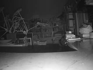 voyeurcam-bridgetleewalters-02