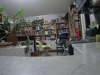 voyeurcam-bridgetleewalters-02