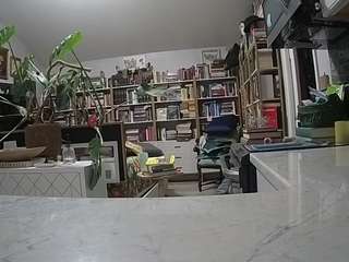 voyeurcam-bridgetleewalters-02