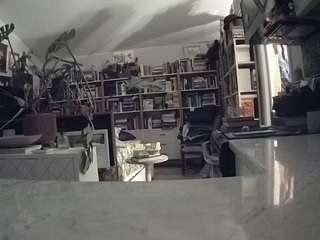 voyeurcam-bridge... Live Webcam on CamSoda