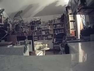 voyeurcam-bridgetleewalters-02