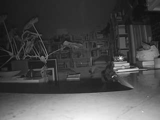 voyeurcam-bridgetleewalters-02