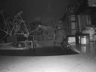 voyeurcam-bridge... Live Webcam on CamSoda