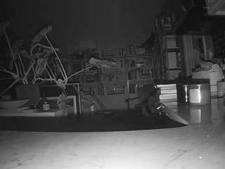 voyeurcam-bridgetleewalters-02