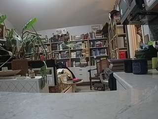 voyeurcam-bridgetleewalters-02