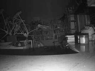 voyeurcam-bridgetleewalters-02