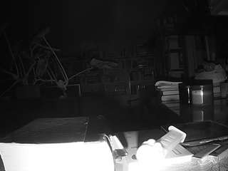 voyeurcam-bridgetleewalters-02