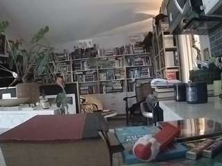 voyeurcam-bridgetleewalters-02