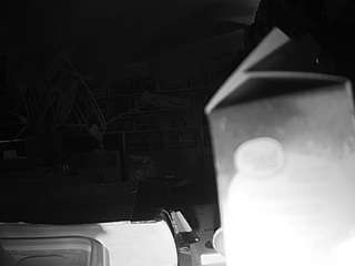 voyeurcam-bridgetleewalters-02