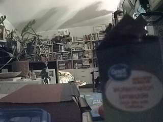 voyeurcam bridgetleewalters 02