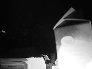 voyeurcam bridgetleewalters 02