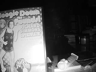 voyeurcam-bridgetleewalters-02