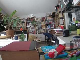 voyeurcam bridgetleewalters 02
