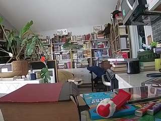 voyeurcam-bridge... Live Webcam on CamSoda