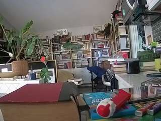 voyeurcam-bridgetleewalters-02