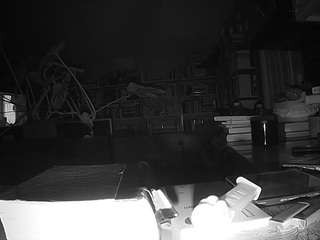 voyeurcam bridgetleewalters 02 live webcam on Soda Cams