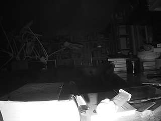 voyeurcam-bridgetleewalters-02 Drink live webcam