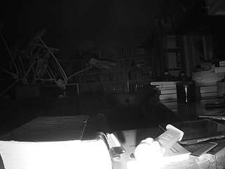 voyeurcam-bridgetleewalters-02 Drink live webcam