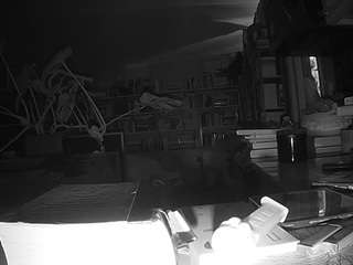 voyeurcam bridgetleewalters 02