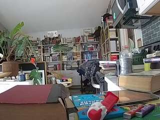 voyeurcam-bridge... Live Webcam on CamSoda