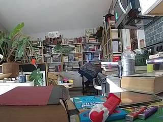 voyeurcam-bridge... Live Webcam on CamSoda