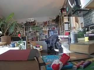 voyeurcam-bridge... Live Webcam on CamSoda