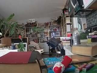 voyeurcam bridgetleewalters 02