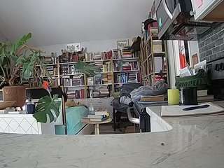 voyeurcam-bridgetleewalters-02