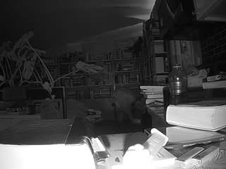 voyeurcam bridgetleewalters 02