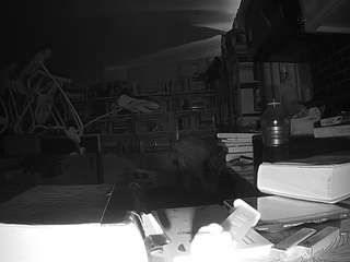 voyeurcam-bridgetleewalters-02