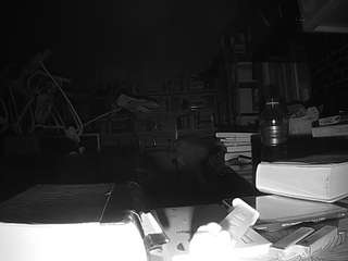 voyeurcam-bridgetleewalters-02 webcam