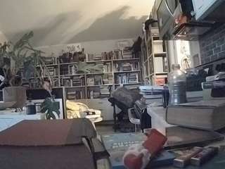 voyeurcam-bridgetleewalters-02