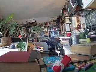 voyeurcam-bridgetleewalters-02 Profile Image