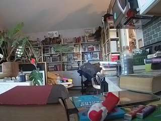 voyeurcam-bridge... Live Webcam on CamSoda