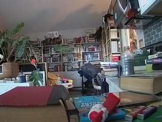 voyeurcam-bridgetleewalters-02 Profile Image