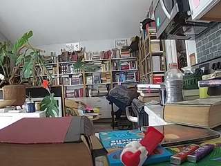 voyeurcam-bridgetleewalters-02
