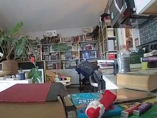 voyeurcam-bridgetleewalters-02