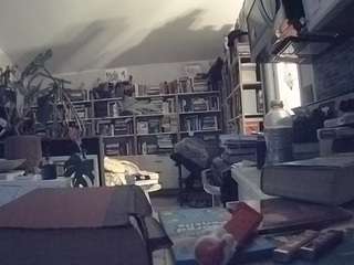 voyeurcam-bridge... Live Webcam on CamSoda