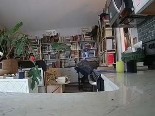 voyeurcam-bridgetleewalters-02