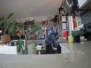 voyeurcam-bridgetleewalters-02 webcam