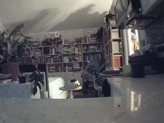 voyeurcam-bridgetleewalters-02