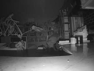 voyeurcam-bridgetleewalters-02