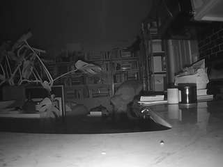 voyeurcam-bridgetleewalters-02