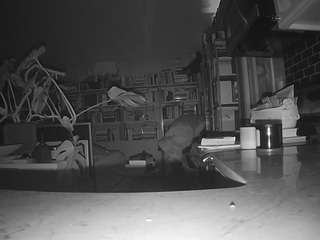 voyeurcam-bridgetleewalters-02