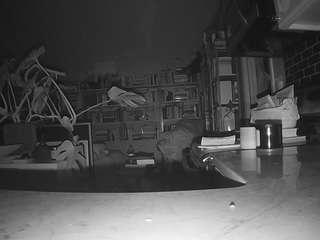 voyeurcam-bridgetleewalters-02