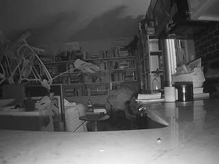 voyeurcam-bridgetleewalters-02