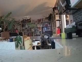 voyeurcam-bridgetleewalters-02