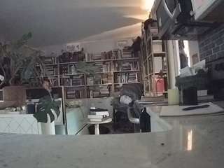 voyeurcam bridgetleewalters 02