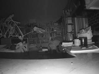 voyeurcam-bridgetleewalters-02